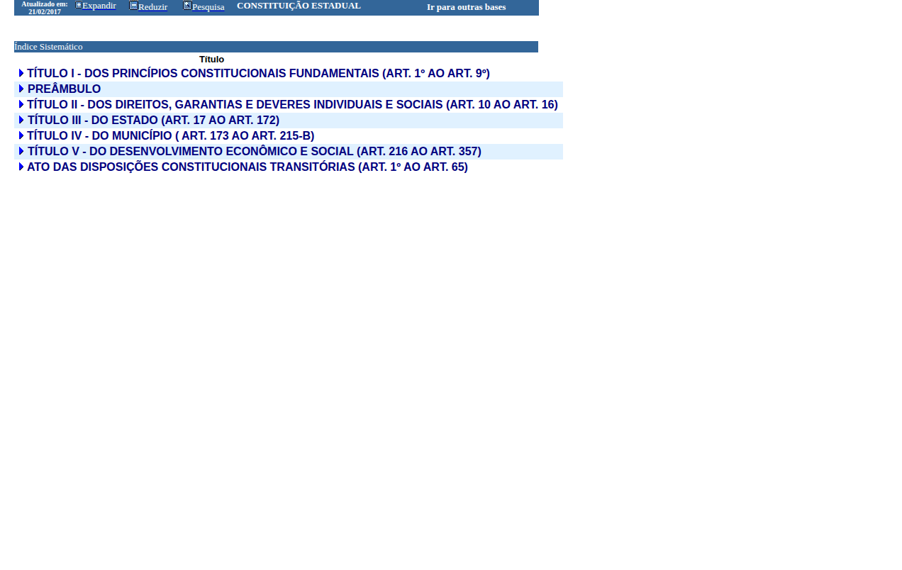 Screenshot de Constituição Estadual
