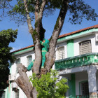 miniatura 9