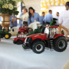 miniatura 8
