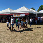 miniatura 17