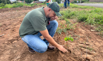 Área de preservação recebe plantio de 300 mudas de árvores através de parceria entre a Prefeitura de Alto Araguaia e Sicredi