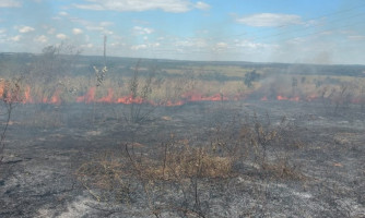 Secretaria de Meio Ambiente e Corpo de Bombeiros combatem incêndio em área às margens da BR-364