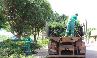 Secretaria de Meio Ambiente realiza vistoria em 85 árvores na praça da Cohab
