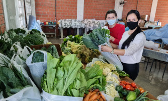 Assistência Social repassa alimentos da agricultura familiar às famílias carentes por meio da Empaer e PAA