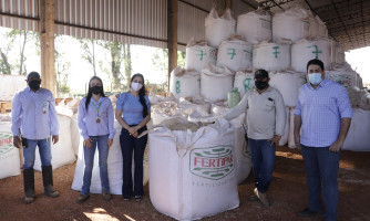 Cerca de mil famílias devem ser beneficiadas com doação 2 toneladas de feijão da BrasilAgro