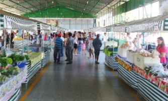 Novo decreto permite funcionamento da feira municipal de Alto Araguaia; veja regras para consumidores e feirantes