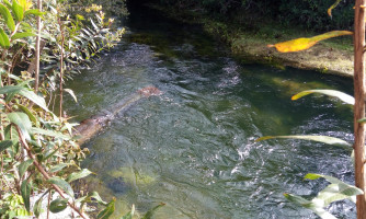 Nível do Córrego Gordura preocupa e prefeitura faz alerta para moradores economizarem água em Alto Araguaia