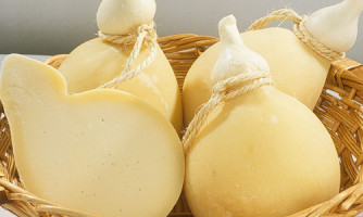 Secretaria de Agricultura de Alto Araguaia convida produtores do queijo cabacinha para cadastramento e encontro