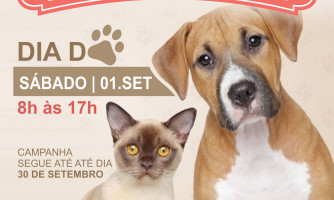 Dia D de vacinação antirrábica acontece neste sábado em Alto Araguaia; veja pontos
