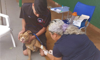 Prefeitura vacina mais de 2 mil cães e gatos contra a raiva em oito horas