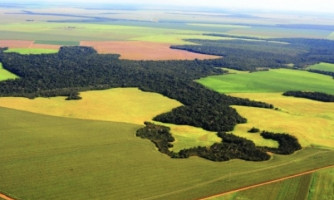 Tributos divulga Valor da Terra Nua de Alto Araguaia e alerta sobre o prazo para Declaração do Imposto Territorial Rural
