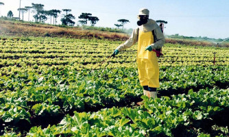Palestras sobre conscientização do uso e aplicação de agrotóxicos acontece nesta segunda-feira