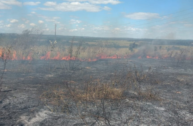 Secretaria de Meio Ambiente e Corpo de Bombeiros combatem incêndio em área às margens da BR-364
