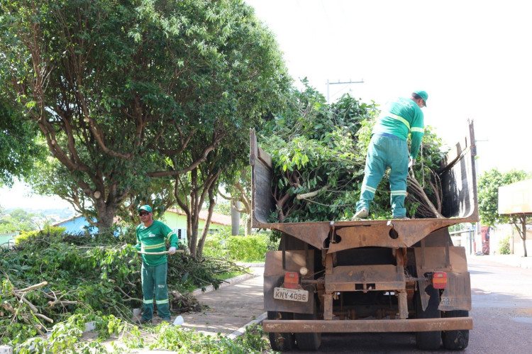 Secretaria de Meio Ambiente realiza vistoria em 85 árvores na praça da Cohab