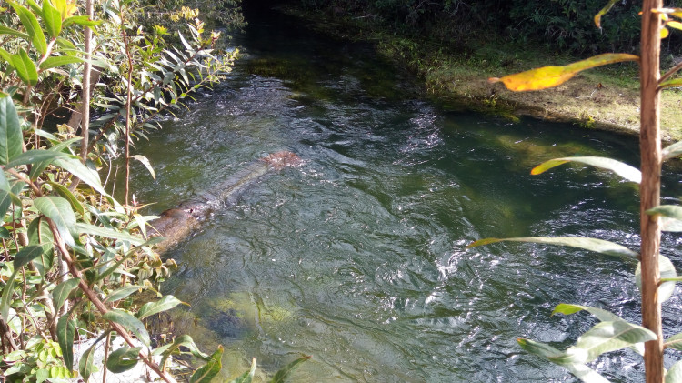 Nível do Córrego Gordura preocupa e prefeitura faz alerta para moradores economizarem água em Alto Araguaia