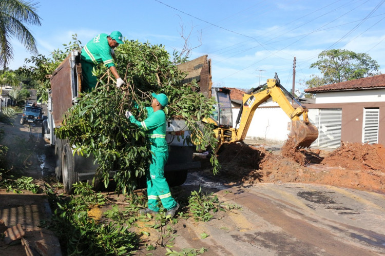 Em ação conjunta, Semapa e Divaes removem árvore após raízes romperem tubulação de água