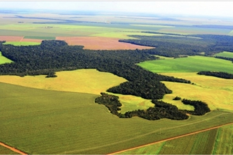Tributos divulga Valor da Terra Nua de Alto Araguaia e alerta sobre o prazo para Declaração do Imposto Territorial Rural
