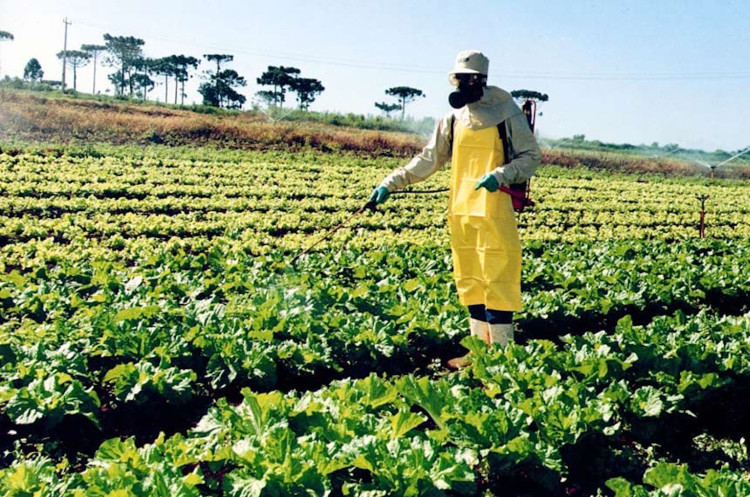 Palestras sobre conscientização do uso e aplicação de agrotóxicos acontece nesta segunda-feira