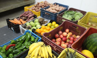 Prefeitura de Alto Araguaia realiza chamada pública para aquisição de alimentos da agricultura familiar
