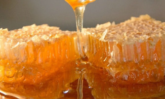Começa nesta semana o ciclo de palestras sobre a implantação e importância do mel na merenda escolar