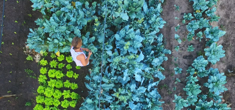 Semapa convida produtores da agricultura familiar para atualização de cadastro