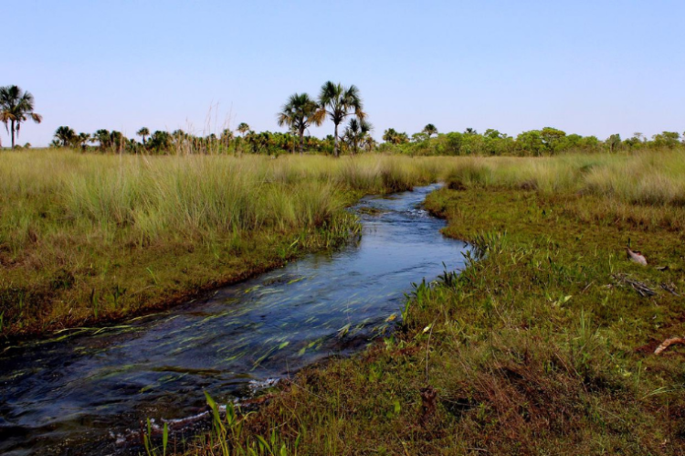 Prefeitura de Alto Araguaia fará parte de projeto do MP voltado à proteção de nascentes