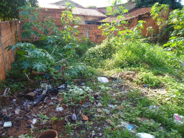Fiscalização de terrenos baldios, calçadas sujas e entulhos é intensificado em Alto Araguaia; proprietários podem ser multados