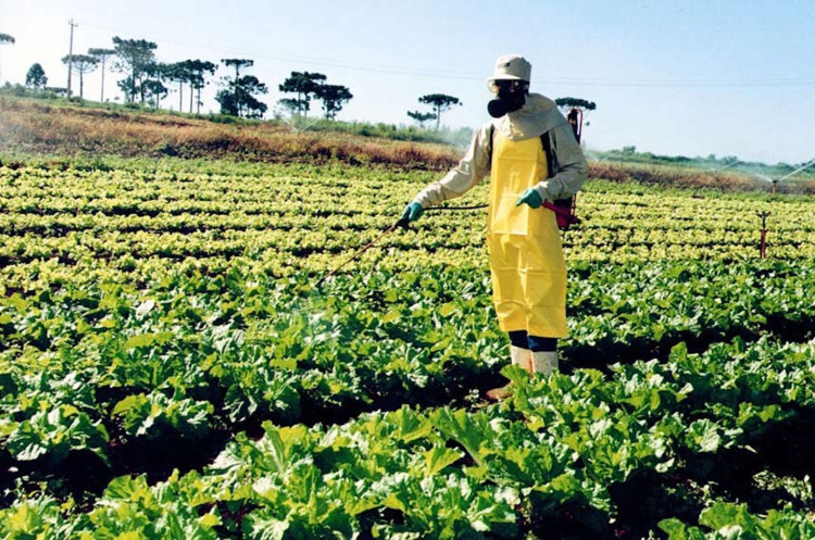 Palestras sobre conscientização do uso e aplicação de agrotóxicos acontece nesta segunda-feira