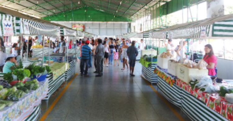 Feirantes e Prefeitura organizam a primeira feira do produtor; evento inicia nesta sexta (02)